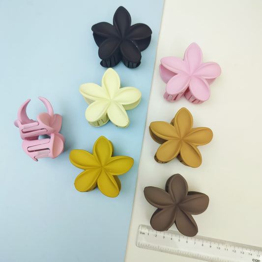 HAIR CLAWS (Pack of 12)kt654